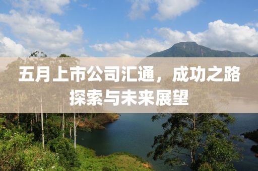 五月上市公司汇通，成功之路探索与未来展望