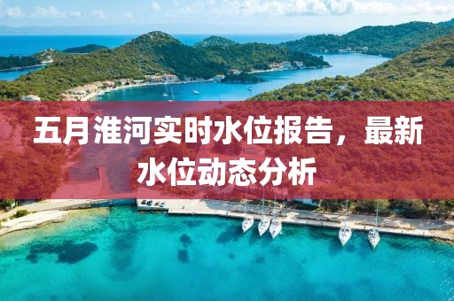 五月淮河实时水位报告，最新水位动态分析