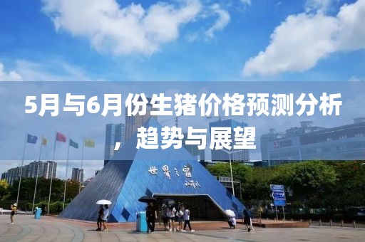 5月与6月份生猪价格预测分析，趋势与展望