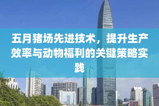 五月猪场先进技术，提升生产效率与动物福利的关键策略实践