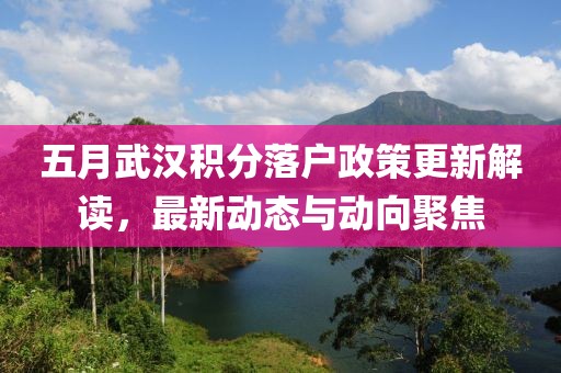 五月武汉积分落户政策更新解读，最新动态与动向聚焦