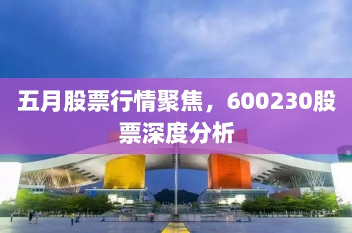 五月股票行情聚焦，600230股票深度分析