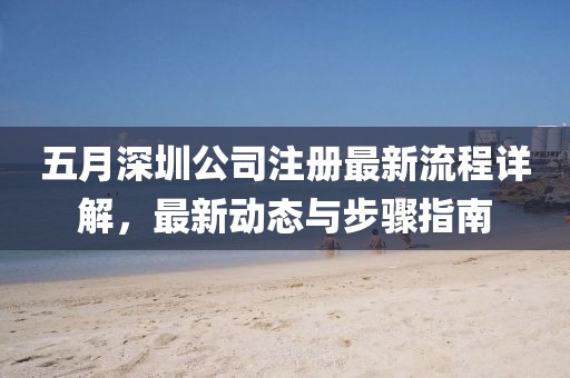 五月深圳公司注册最新流程详解，最新动态与步骤指南