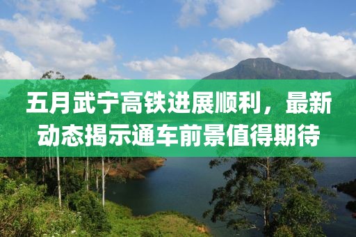 五月武宁高铁进展顺利，最新动态揭示通车前景值得期待