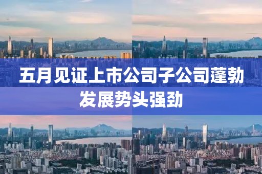 五月见证上市公司子公司蓬勃发展势头强劲