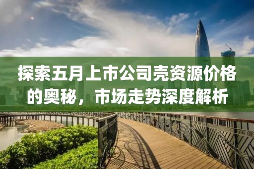 探索五月上市公司壳资源价格的奥秘，市场走势深度解析
