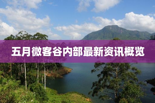 五月微客谷内部最新资讯概览