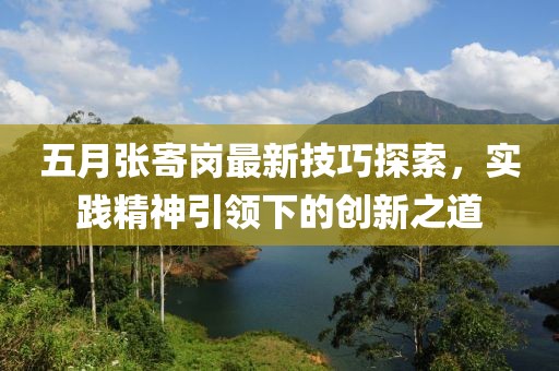 五月张寄岗最新技巧探索，实践精神引领下的创新之道