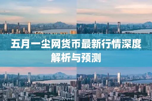 五月一尘网货币最新行情深度解析与预测
