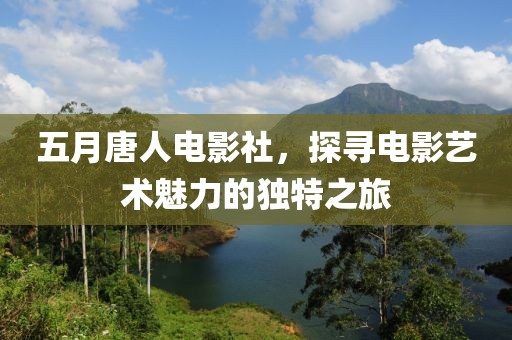 五月唐人电影社，探寻电影艺术魅力的独特之旅