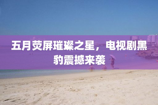 五月荧屏璀璨之星，电视剧黑豹震撼来袭