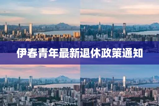 伊春青年最新退休政策通知