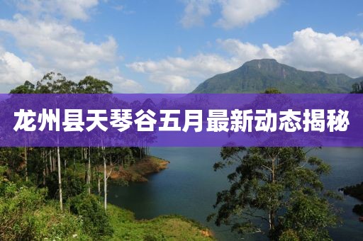 龙州县天琴谷五月最新动态揭秘