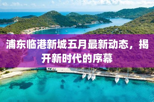 浦东临港新城五月最新动态，揭开新时代的序幕