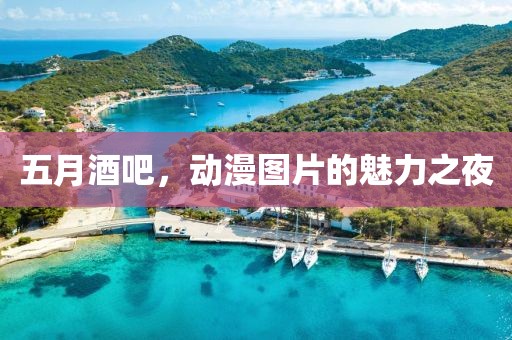 五月酒吧，动漫图片的魅力之夜