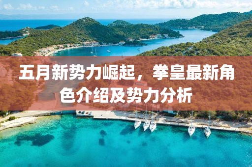 五月新势力崛起，拳皇最新角色介绍及势力分析