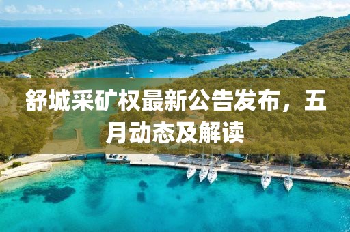 舒城采矿权最新公告发布，五月动态及解读
