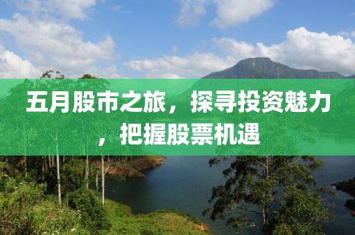 五月股市之旅，探寻投资魅力，把握股票机遇