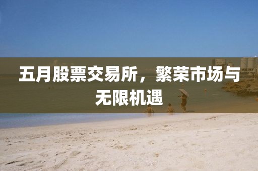五月股票交易所，繁荣市场与无限机遇