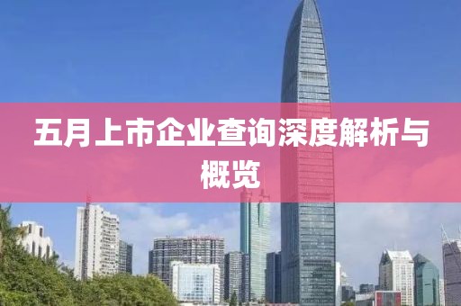 五月上市企业查询深度解析与概览