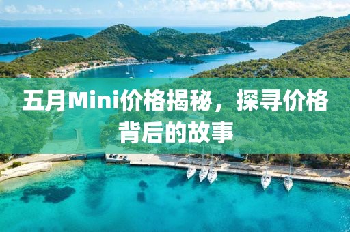五月Mini价格揭秘，探寻价格背后的故事