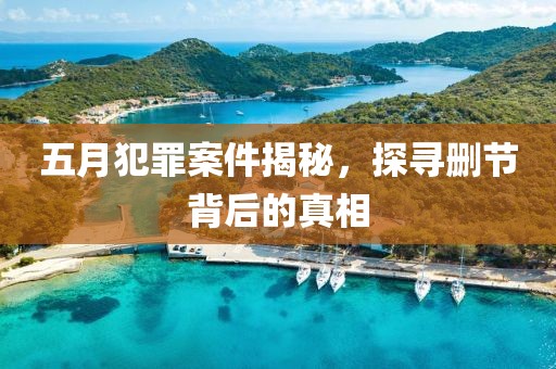 五月犯罪案件揭秘，探寻删节背后的真相