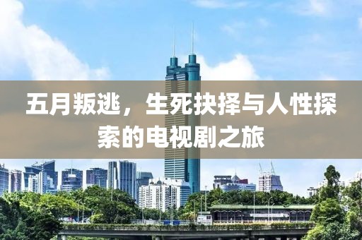 五月叛逃，生死抉择与人性探索的电视剧之旅