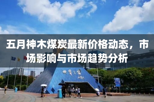 五月神木煤炭最新价格动态，市场影响与市场趋势分析