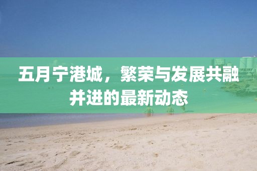 五月宁港城，繁荣与发展共融并进的最新动态