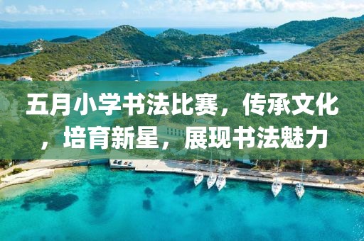 五月小学书法比赛，传承文化，培育新星，展现书法魅力