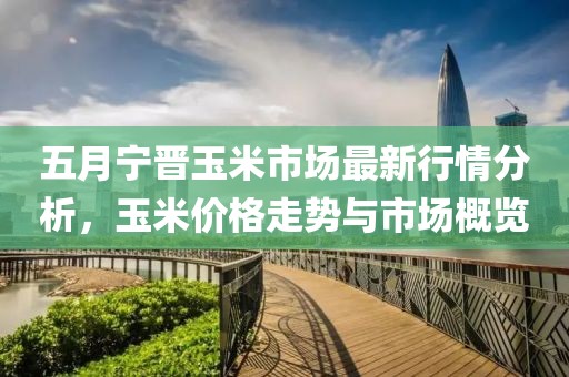 五月宁晋玉米市场最新行情分析，玉米价格走势与市场概览