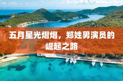 五月星光熠熠，郑姓男演员的崛起之路