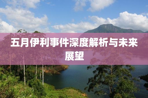 五月伊利事件深度解析与未来展望