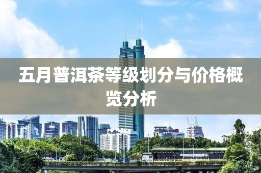 五月普洱茶等级划分与价格概览分析