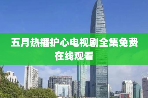 五月热播护心电视剧全集免费在线观看