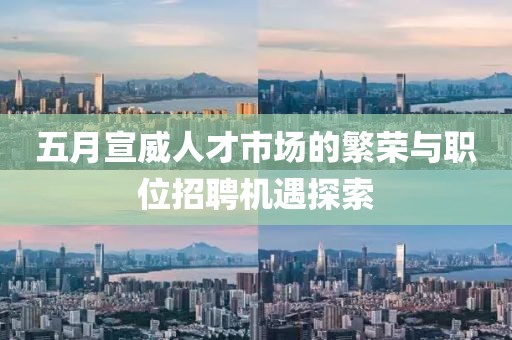 五月宣威人才市场的繁荣与职位招聘机遇探索