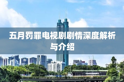 五月罚罪电视剧剧情深度解析与介绍