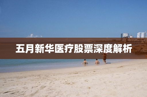 五月新华医疗股票深度解析