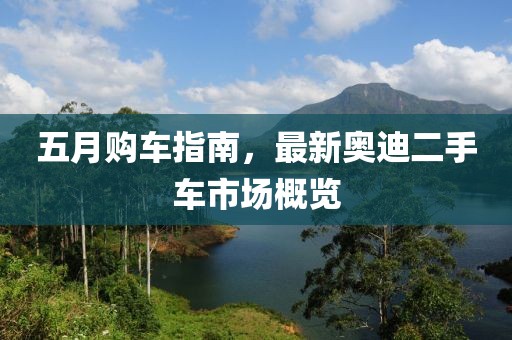 五月购车指南，最新奥迪二手车市场概览