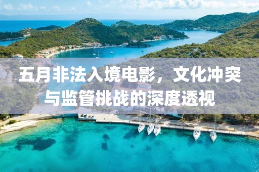 五月非法入境电影，文化冲突与监管挑战的深度透视