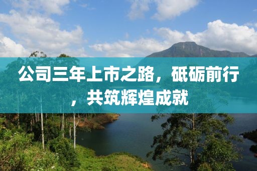 公司三年上市之路，砥砺前行，共筑辉煌成就