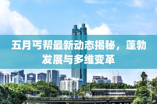 五月丐帮最新动态揭秘，蓬勃发展与多维变革