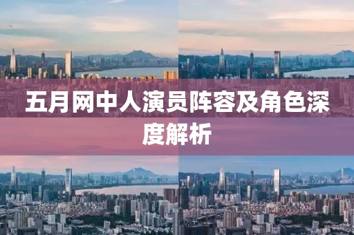 五月网中人演员阵容及角色深度解析