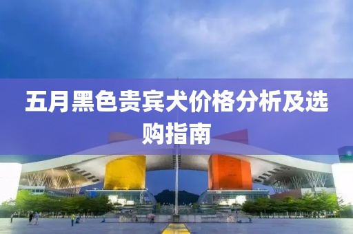 五月黑色贵宾犬价格分析及选购指南