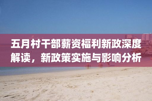 五月村干部薪资福利新政深度解读，新政策实施与影响分析