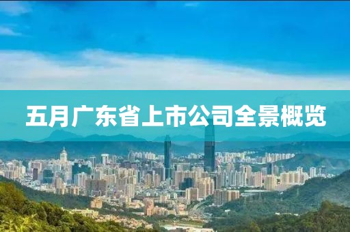 五月广东省上市公司全景概览