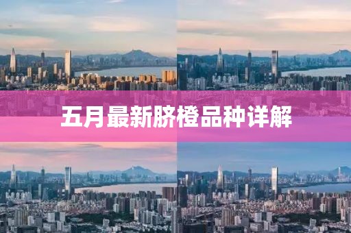 五月最新脐橙品种详解