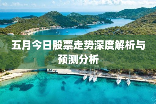 五月今日股票走势深度解析与预测分析
