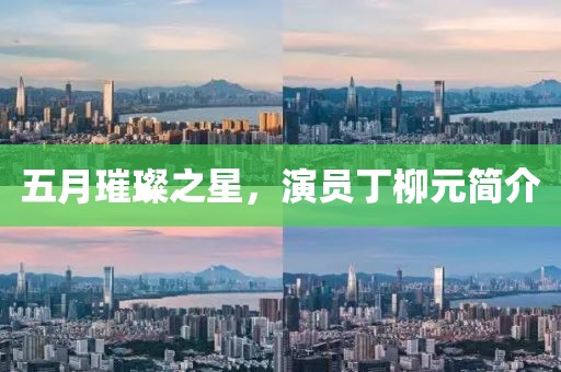 五月璀璨之星，演员丁柳元简介