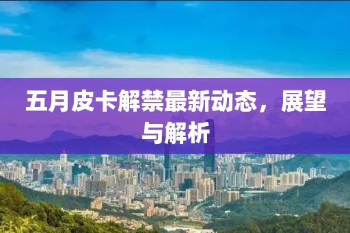 五月皮卡解禁最新动态，展望与解析